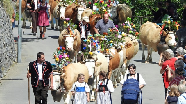 Menschen in Trachten und geschmückte Kühe. Menschen in Trachten und geschmückte Kühe.