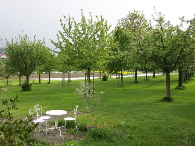 Obstbäume, Tische und Stühle Obstbäume, Tische und Stühle