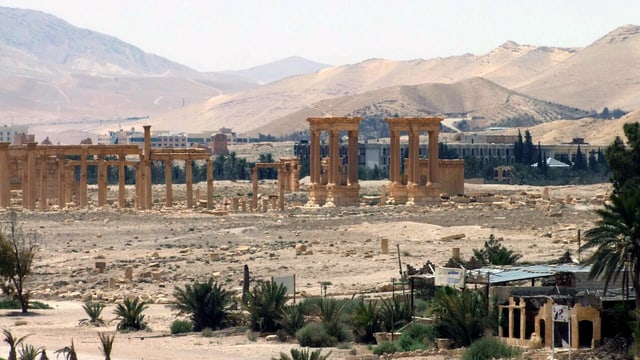 Palmyra aus Distanz. Palmyra aus Distanz.