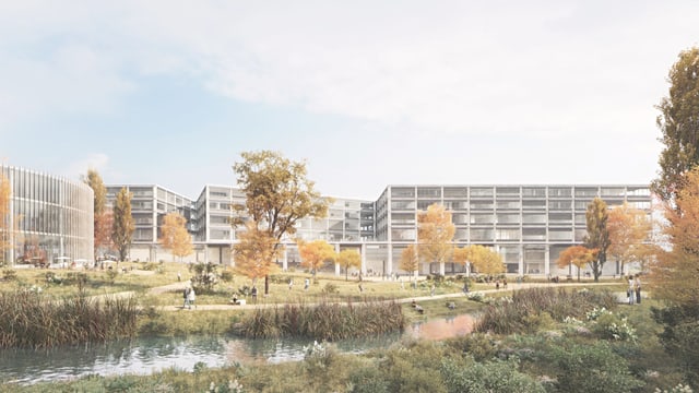 Neue Gebäude in viel Natur. Neue Gebäude in viel Natur.