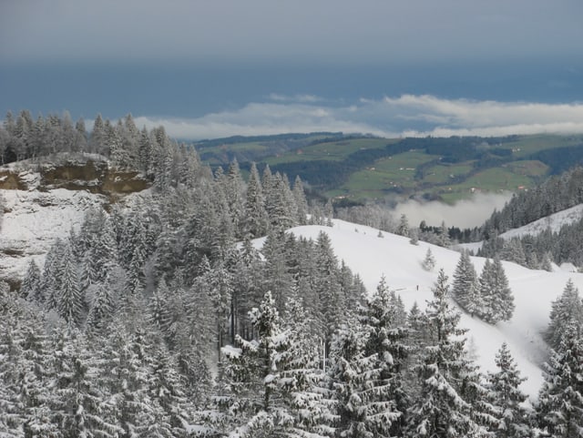 Die Hügel der Napfregion ist mit weissem Pulverschnee überzogen. Im Hintergrund liegen grüne Matten.