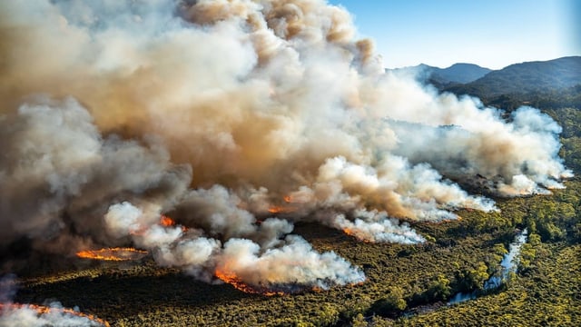 Buschbrand auf Tasmanien Buschbrand auf Tasmanien