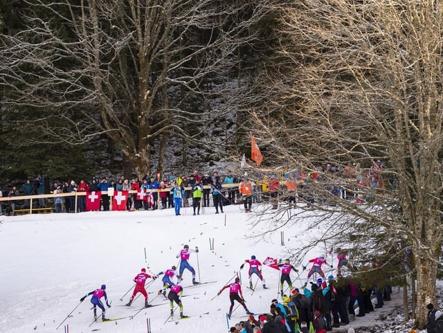 Findet Langlauf-Cross bald auch im Weltcup statt? Findet Langlauf-Cross bald auch im Weltcup statt?