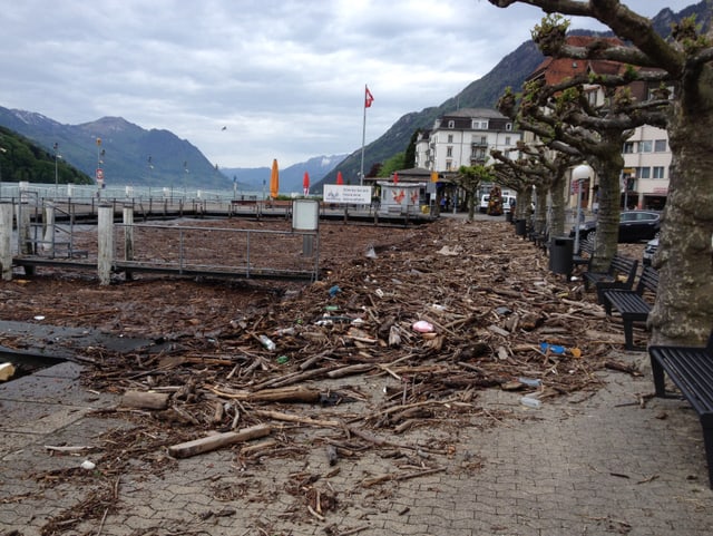 Die Uferpromenade von Brunnen und der Hafenbereich ist mit Schwemmholz überhäuft.