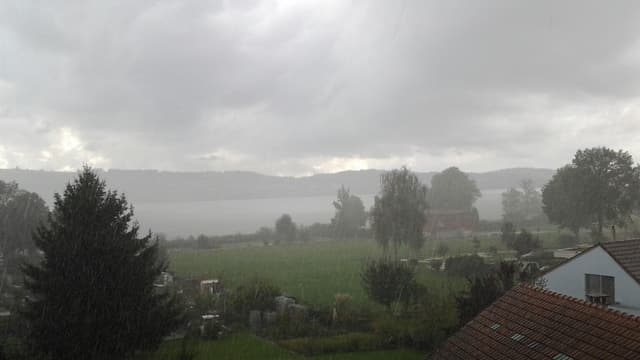 Durch den Regenvorhang ist der Blick auf den Sempachersee stark getrübt. Durch den Regenvorhang ist der Blick auf den Sempachersee stark getrübt.