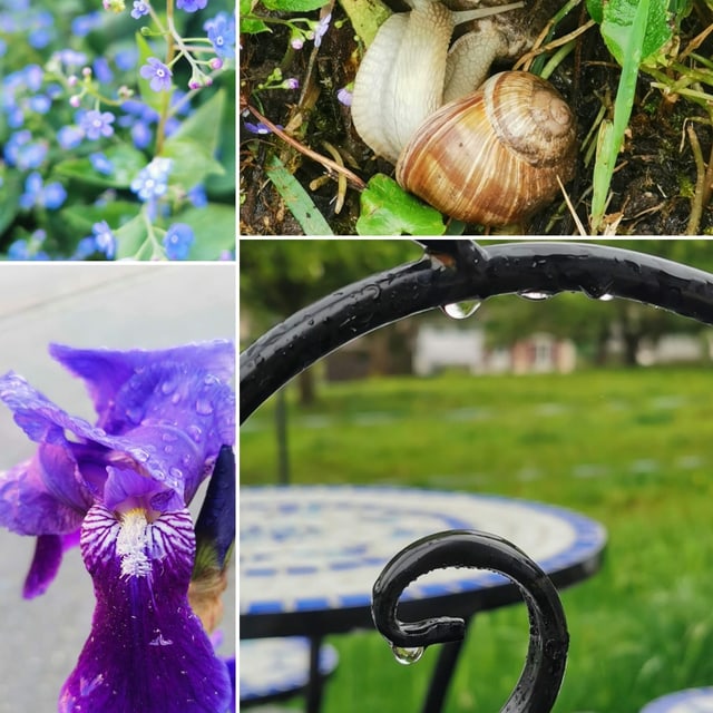 Collage von Nahaufsichten Pflanzen, Schnecke, Blumen und Gartensitzplatz.