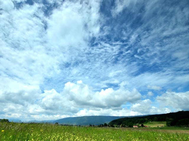 Grüne Wiese und viel Himmel. Am Himmel hohe dünne Wolken aber auch tiefere Quellwolken. Dazwischen blau. Sommerliche Stimmung.