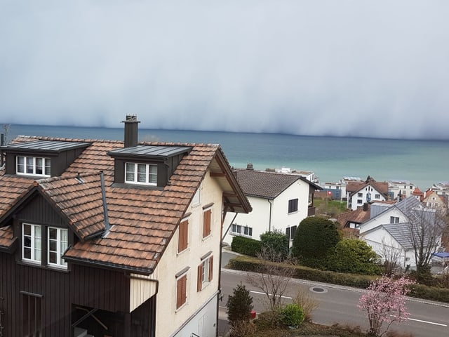 Schneeschauer ziehen wie eine grau Wand, vom See aufs Land. Schneeschauer ziehen wie eine grau Wand, vom See aufs Land.