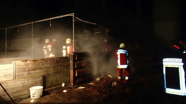 Feuerwehrleute in rauchnendem Stall. Feuerwehrleute in rauchnendem Stall.