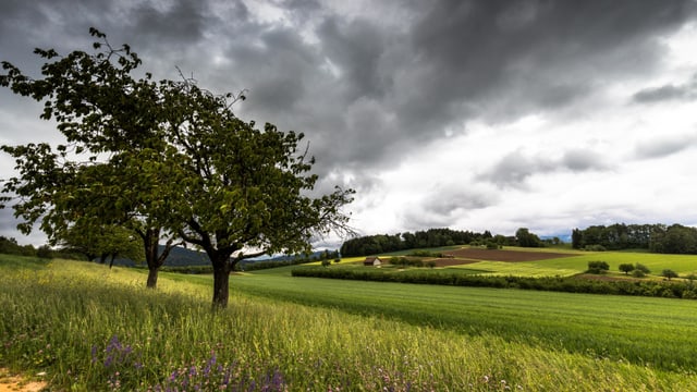 Regenwolken in der vergangenen Woche bei Auenstein. Regenwolken in der vergangenen Woche bei Auenstein.