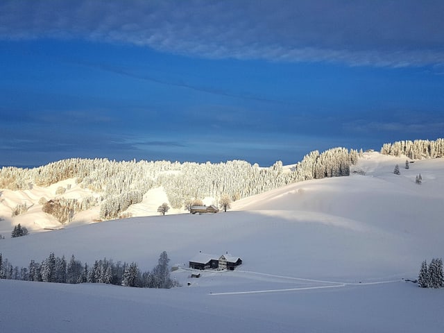 Alles weiss, blauer Himmel.