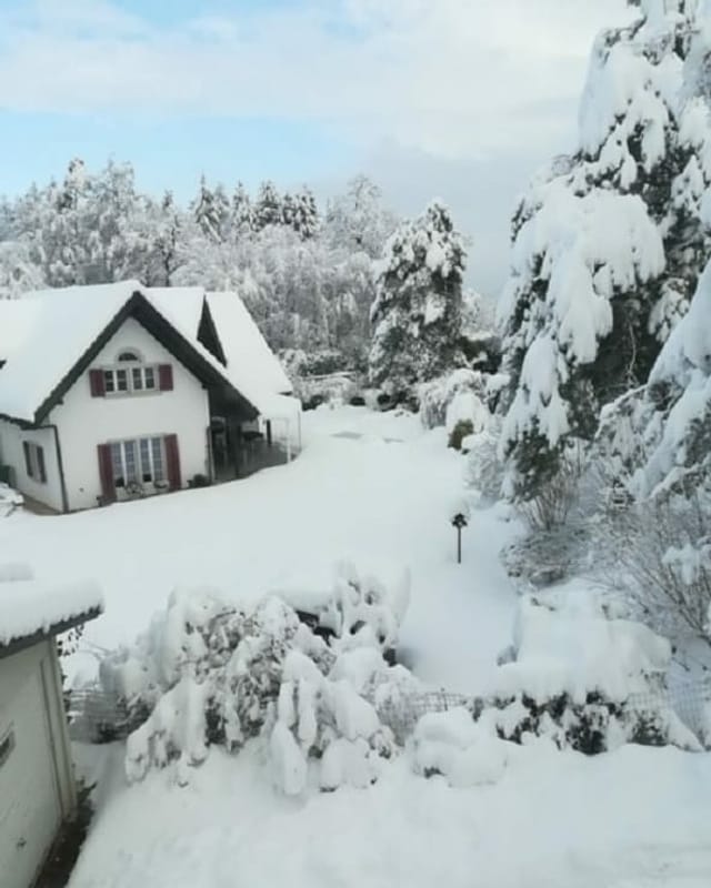 Verschneite Landschaft