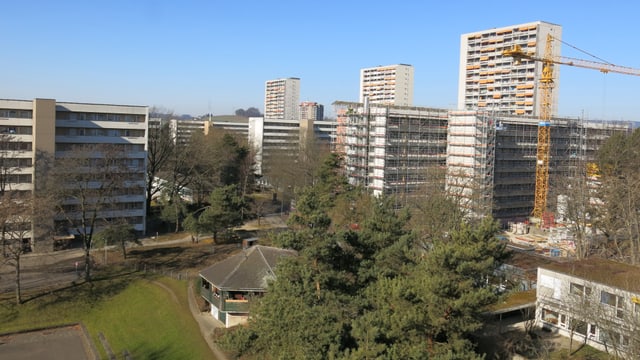 Häuser in einem Park. Häuser in einem Park.