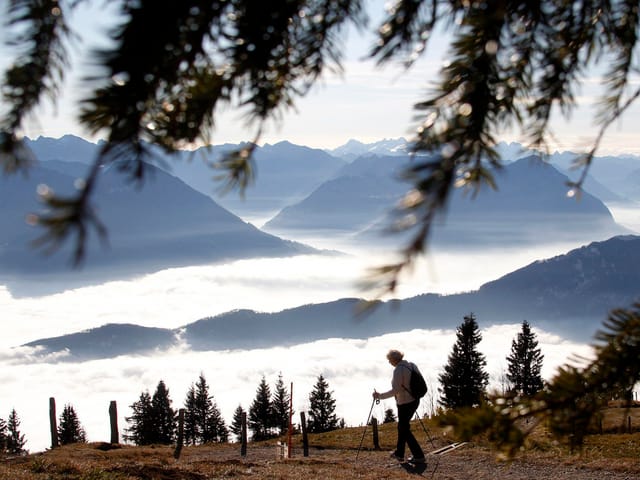 Frau mit Wanderstöcken spaziert über einen Berghang mit einzelnen Nadelbäumen. Sie blickt über das Bergpanorama mit Nebel in den Tälern. Am oberen Bildrand ragen ein paar Tannenäste ins Foto. Die Sonne scheint, aber das Foto ist mit dem starken Licht eher in Schwarz-Weiss-Tönen gehalten.