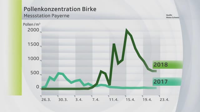 Die Pollenkonzentration der Birke ist 2018 deutlich stärker. Die Pollenkonzentration der Birke ist 2018 deutlich stärker.