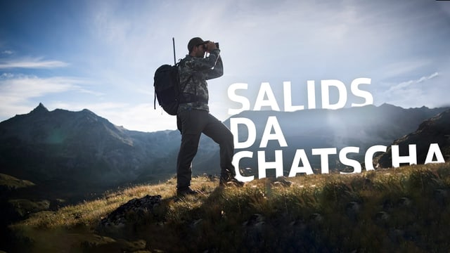 chatschadur cun il spievel. chatschadur cun il spievel.
