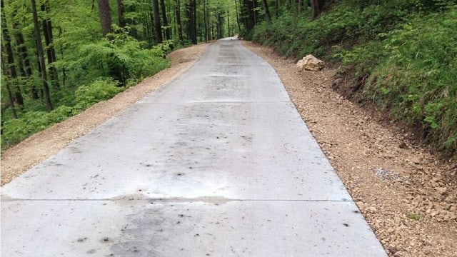 Strasse im Wald Strasse im Wald