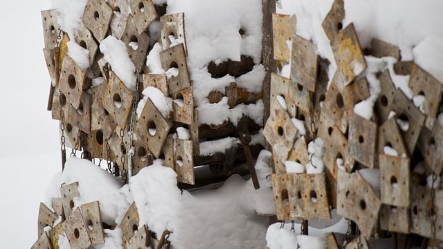 Eingeschneite Beton-Stüper. Eingeschneite Beton-Stüper.