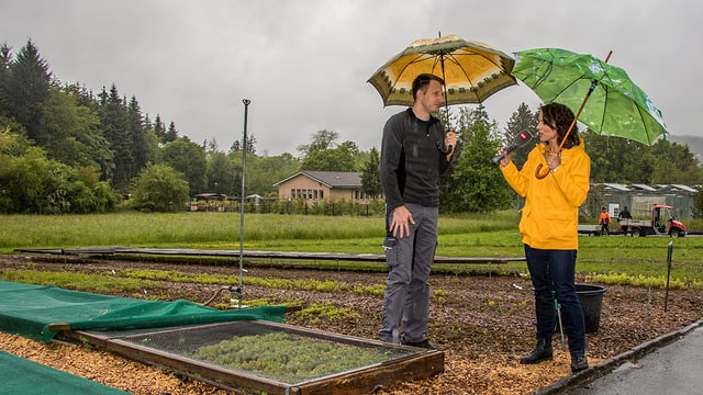 Gabor Reiss erklärt den Versuchsgarten Gabor Reiss erklärt den Versuchsgarten