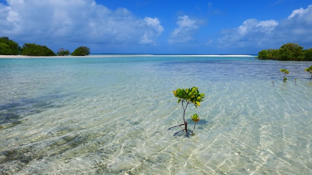 Das Wasser ist eine Bedrohung für die Zukunft der Nation. Das Wasser ist eine Bedrohung für die Zukunft der Nation.