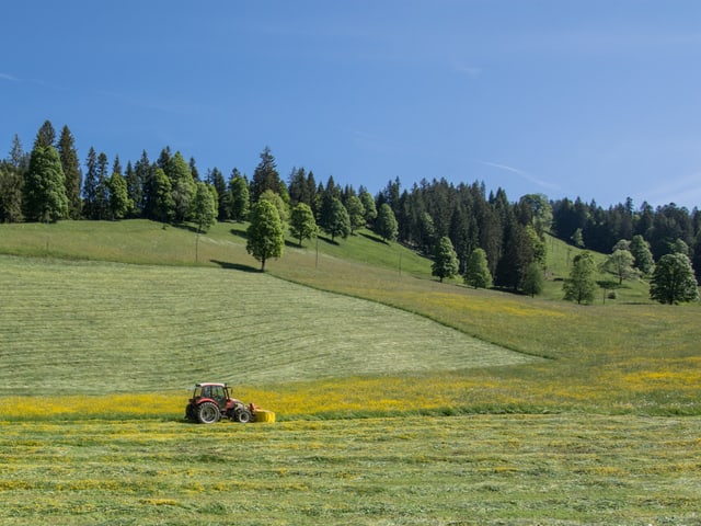 Traktor auf Wiese beim Mähen.