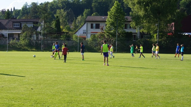 Ein Gruppe von Knaben spielt auf einer grünen Wiese Fussball. Ein Gruppe von Knaben spielt auf einer grünen Wiese Fussball.