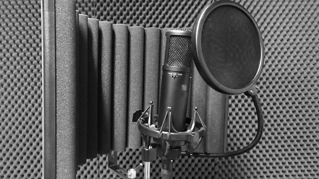 Mic Screen Mic Screen