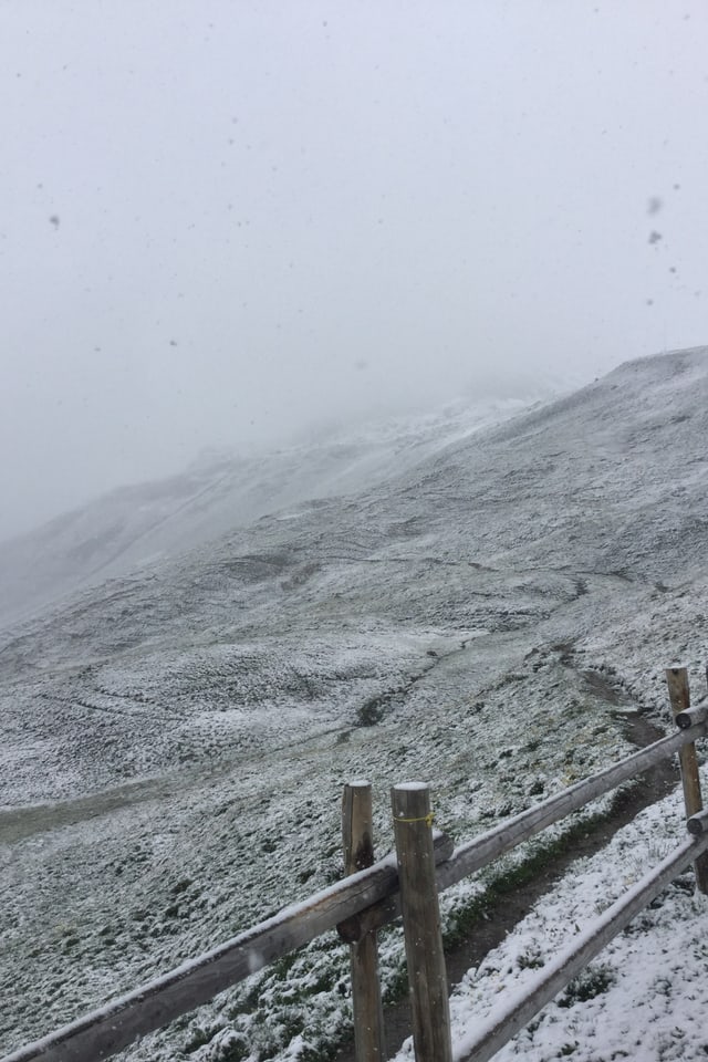 Am 20. Juni gab es Schnee in Ftan im Unterengadin. Am 20. Juni gab es Schnee in Ftan im Unterengadin.