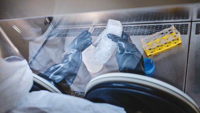 Arbeiten mit einer Hochrisikoprobe in der Glove-Box. Arbeiten mit einer Hochrisikoprobe in der Glove-Box.