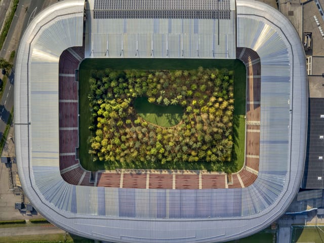 Eine Aufnahme eines Fussballstadions von oben aus der Luft. Dort wo sonst der grüne Spielfeldrasen ist, steht ein Wald mit einer kleinen Lichtung. Eine Aufnahme eines Fussballstadions von oben aus der Luft. Dort wo sonst der grüne Spielfeldrasen ist, steht ein Wald mit einer kleinen Lichtung.