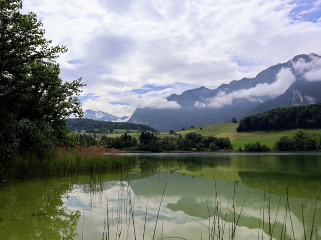 Im Vordergrund der See, auf seiner Oberfläche spiegelt sich der Wolkenhimmel. Im Hintergrund die Gipfel des Berner Oberlandes.