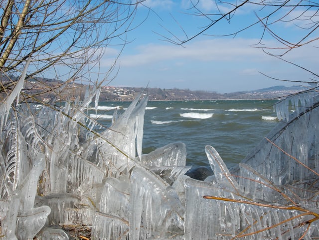Ufer mit viel Eis an den Schilfhalmen. Auf dem See grosse Wellen, der Himmel hellblau und die Sonne scheint.