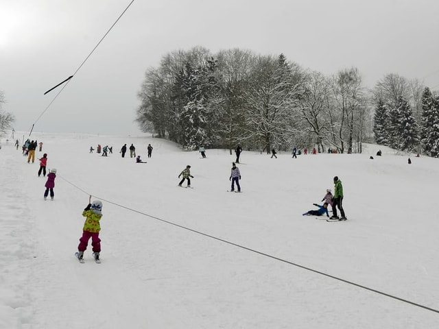 Runal da Dietikon. Runal da Dietikon.