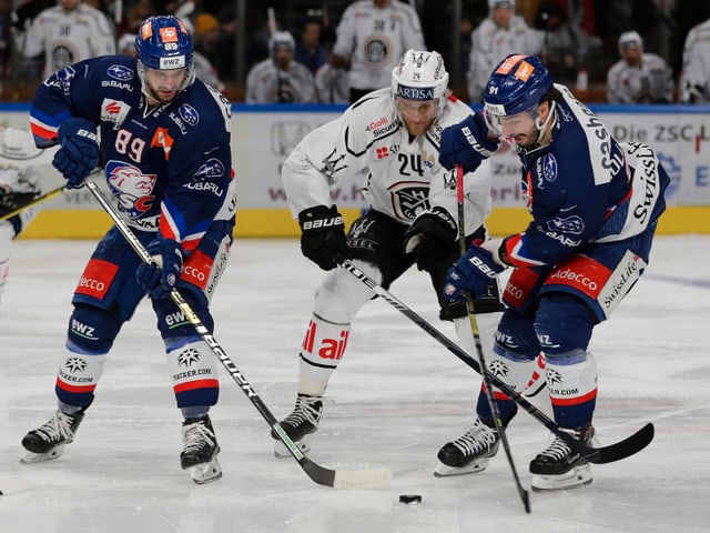 Lugano ZSC Lugano ZSC