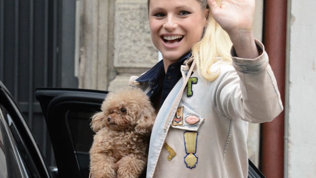 Ein brauner Pudel, der von Michelle Hunziker gehalten wird. Ein brauner Pudel, der von Michelle Hunziker gehalten wird.