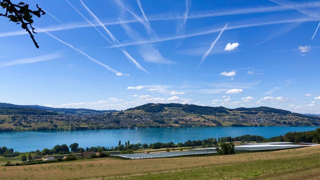 Blick auf den Hallwilersee im August. Blick auf den Hallwilersee im August.