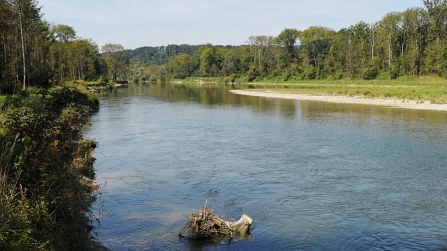 Fluss Fluss