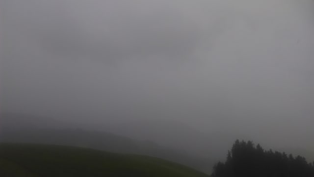 Ein Gewitter mit dunklen Wolken zog über Gonten. Ein Gewitter mit dunklen Wolken zog über Gonten.