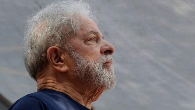Lulas Kopf von der Seite aufgenommen. Lulas Kopf von der Seite aufgenommen.