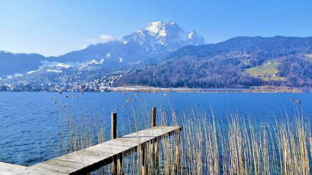 Blick auf den Vierwaldstättersee bei Horw. Blick auf den Vierwaldstättersee bei Horw.