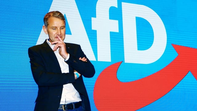 Björn Höcke vor dem AfD-Logo Björn Höcke vor dem AfD-Logo
