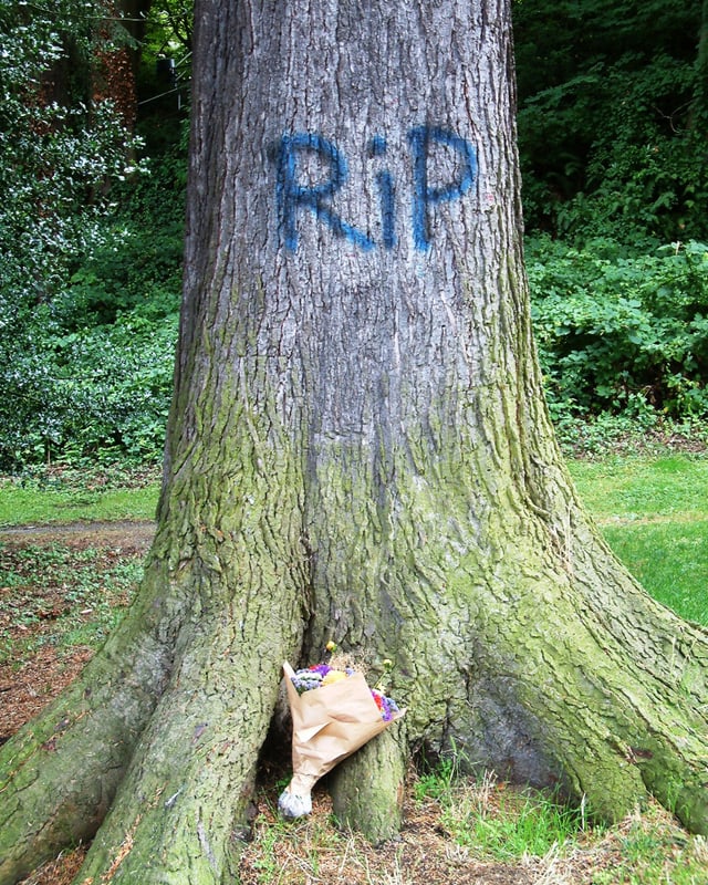 Auf einem Baumstamm steht "RIP", davor liegt ein Blumenstrauss. Auf einem Baumstamm steht "RIP", davor liegt ein Blumenstrauss.