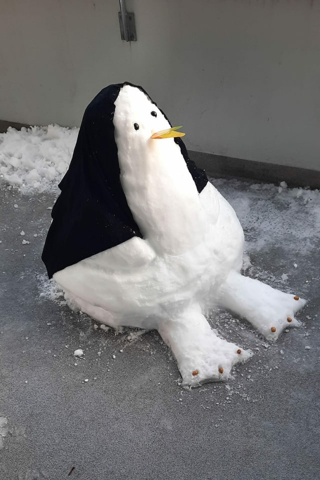 Schneepinguin