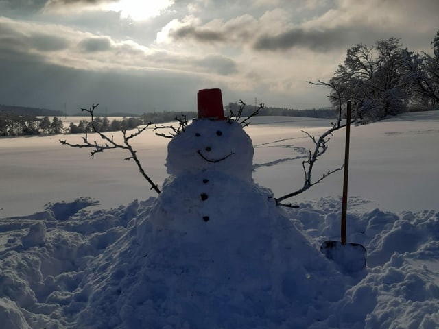 Schneemann auf dem Thurgauer Seerücken