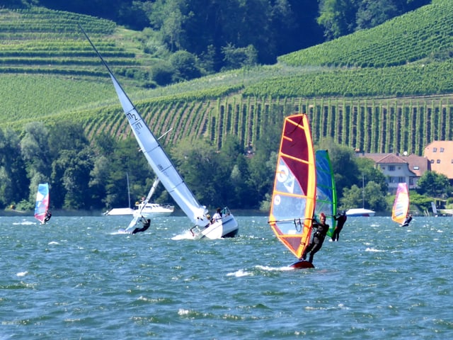 Surfer und Segler tummeln sich bei strahlendem Sonnenschein auf dem Murtensee.