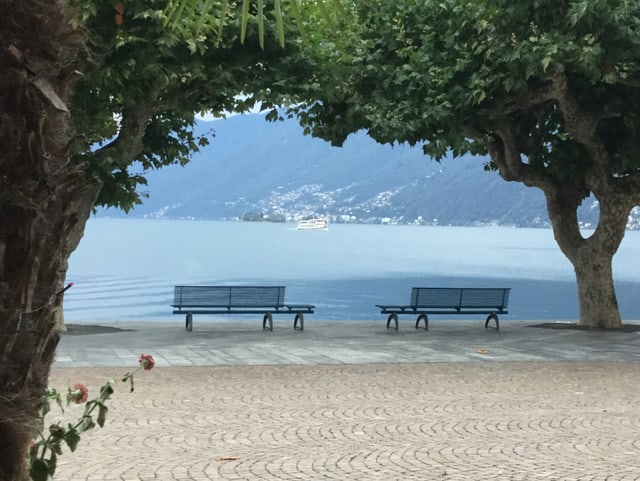 Zwei Parkbänke am See.