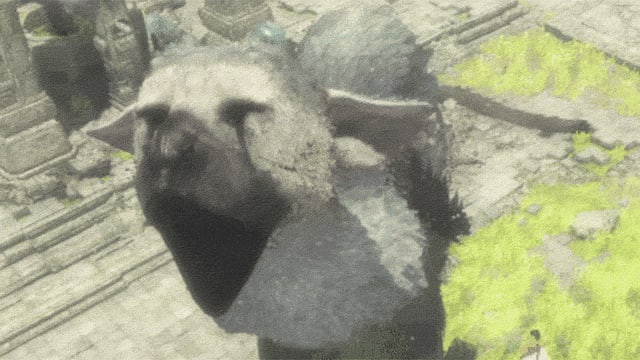 Ein animiertes Gif zeigt das Game-Wesen Trico. Ein animiertes Gif zeigt das Game-Wesen Trico.