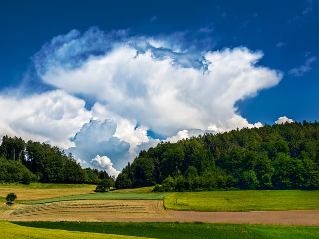 Blauer Himmel mit grossen Wolkentürmen. Unten grüne Wälder und Wiesen sowie gelbe Rapsfelder