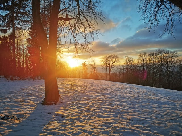 Verschneide Wiese mit Sonne im Hintergrund.