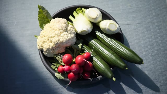 Gurken, Blumenkohl, Radieschen und Fenchel. Gurken, Blumenkohl, Radieschen und Fenchel.
